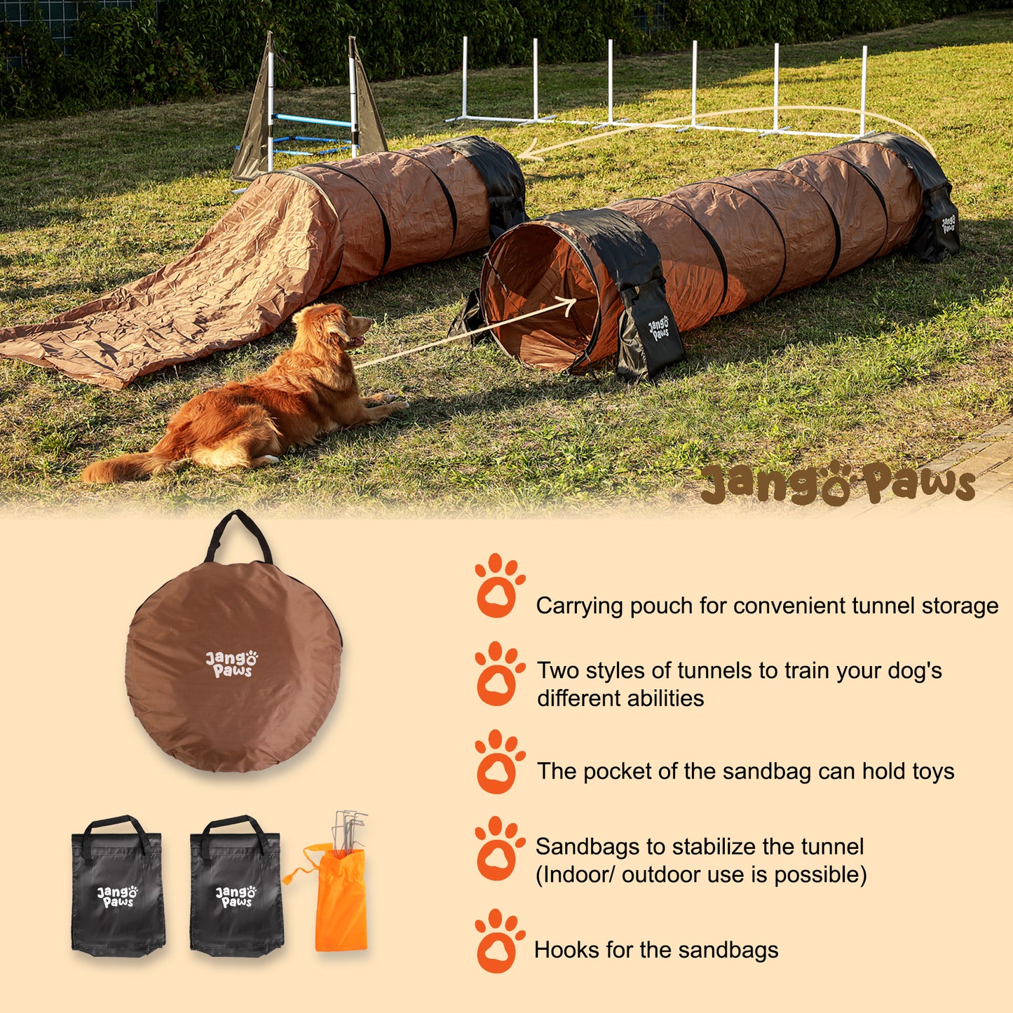 Agility Training Equipment for Dogs