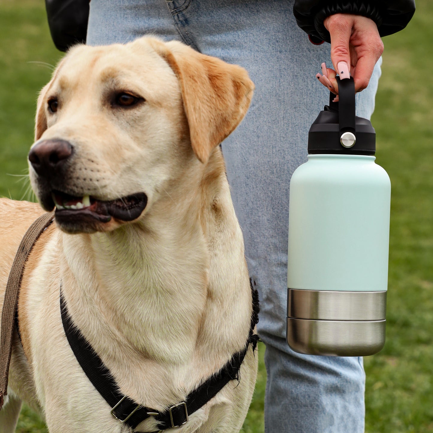 3 in 1 Stainless Steel Portable Dog Water Bottle