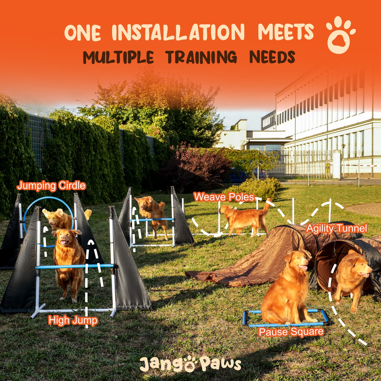 Agility Training Equipment for Dogs