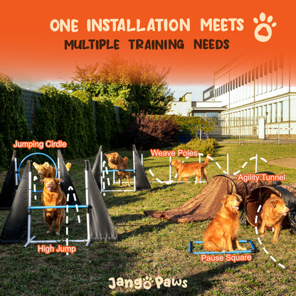 Agility Training Equipment for Dogs