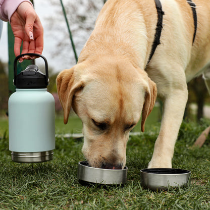 3 in 1 Stainless Steel Portable Dog Water Bottle